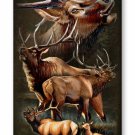 Elk iPhone 6 & 6s Wildlife Collage Case