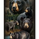 Black Bear iPhone 6 & 6s Wildlife Collage Case