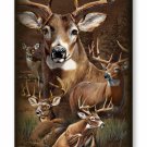Whitetail Deer iPhone 6 & 6s Wildlife Collage Case