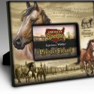 Mustang Horse Canvas Wrapped Photo Frame