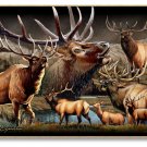 American Elk Collage Series Wooden 10" x 16" Sign