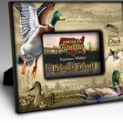 Mallard Duck Canvas Wrapped Photo Frames