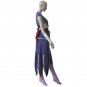 Fairy Tail Titania Erza Cosplay Costume Adult Women