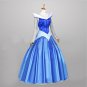 Sleeping Beauty Princess Aurora Bule Dress custom made