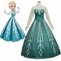 Custom Made Princess Elsa Fancy Dress Women Dress