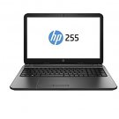 HP 255 G3 AMD Dual Core-1.35GHz (2GB,500GB HDD) 15.6-Inch Windows 8 Laptop