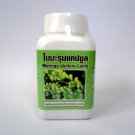 Moringa oleifera (Natural Vitamins Supplement) (Free Shipping)