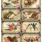 8 x Vintage Gift Tags / Images - Birds Swan Butterfly