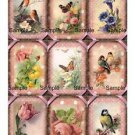 9 x Pink Vintage Look Floral .. Birds and Butterflies Gift Tags Images