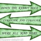 6 x Alice in Wonderland Green Arrow Signs .. DIY Party Pack  Birthday  Wedding