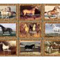 9 x Vintage Look HORSE images .. Gift Tags ..Craft .. Party .. Birthday