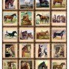 20 x Vintage Look HORSE images .. Gift Tags ..Craft .. Smaller Size