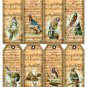 8 x Vintage Bird Bookmarks or Large Gift Tags .. Craft