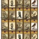 20 x Owl Gift Tags / Images .. Small Size