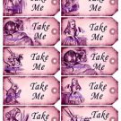 20 x Pink Alice in Wonderland Gift Tags / Images  .. " Take Me " .. Smaller Size