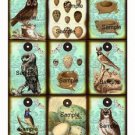 9 x ShaBBy ChiC Gift Tags .. Owls - Birds - Nests - Eggs