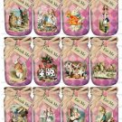 12 x Pink Alice Bottle / Jar Shape Gift Tags / Images .." Eat Me & "Drink Me"