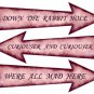Alice in Wonderland Arrow Signs..Pink ..DOWN THE RABBIT HOLE..CURIOUSER AND CUR