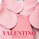 Valentino: Themes and Variations Hardcoverr By Pamela Golbin