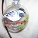 Hand Painted Glass Bulbs