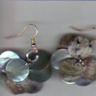 Blueish Gold shell circles