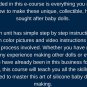 How To Make Silicone Baby Dolls (online course)