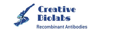Anti-E. coli Heat-labile enterotoxin Single Domain Antibody