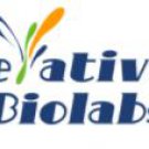 Taltobulin