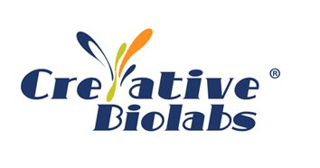 Anti-Human CD3E Therapeutic Antibody (Visilizumab)