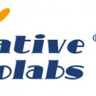 Dual Variable Domain Immunoglobulin Production Service