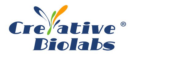 HISC&Acirc;&reg; Cellular Analysis Service