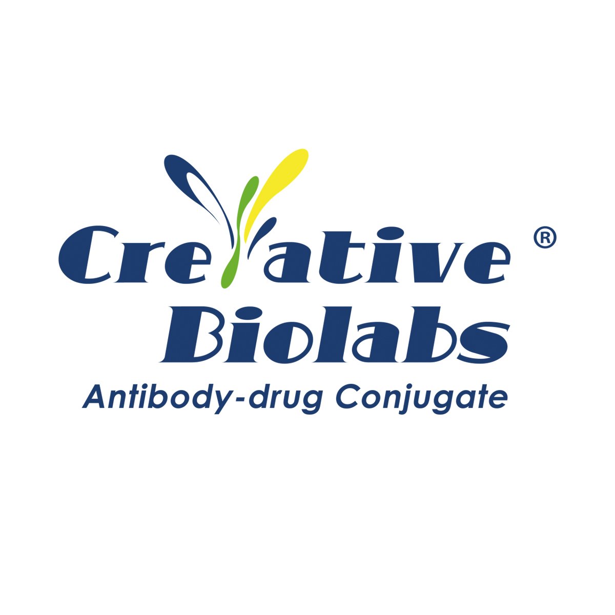 Anti-TNFRSF17 (clone CA8 J8M1)-VC-MMAE ADC
