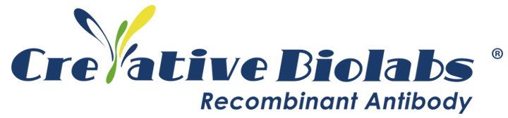 Chicken Anti-HSL Antibody