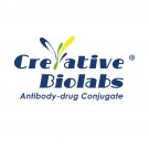 Anti-CD70 (clone 1F6-C4v2)-Mc-MMAF ADC