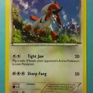 Flashfire Pokemon Card - Furfrou (87 of 106)