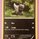 Phantom Forces Pokemon Card - Poochyena (53/119)