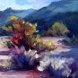 Dove Mountain Wash