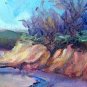 Catalina Park Wash