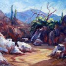 Sun Lit At Honeybee Canyon