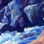 Mountain Spring Study