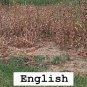 Don't wait ORDER TODAY ! EN KILL'EM ALL ! GUARANTEED CHEAP WEED KILLER RECIPE !