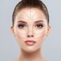50 g Efficiently Moisturizing Facial Cream Power of plants tianDe 12116