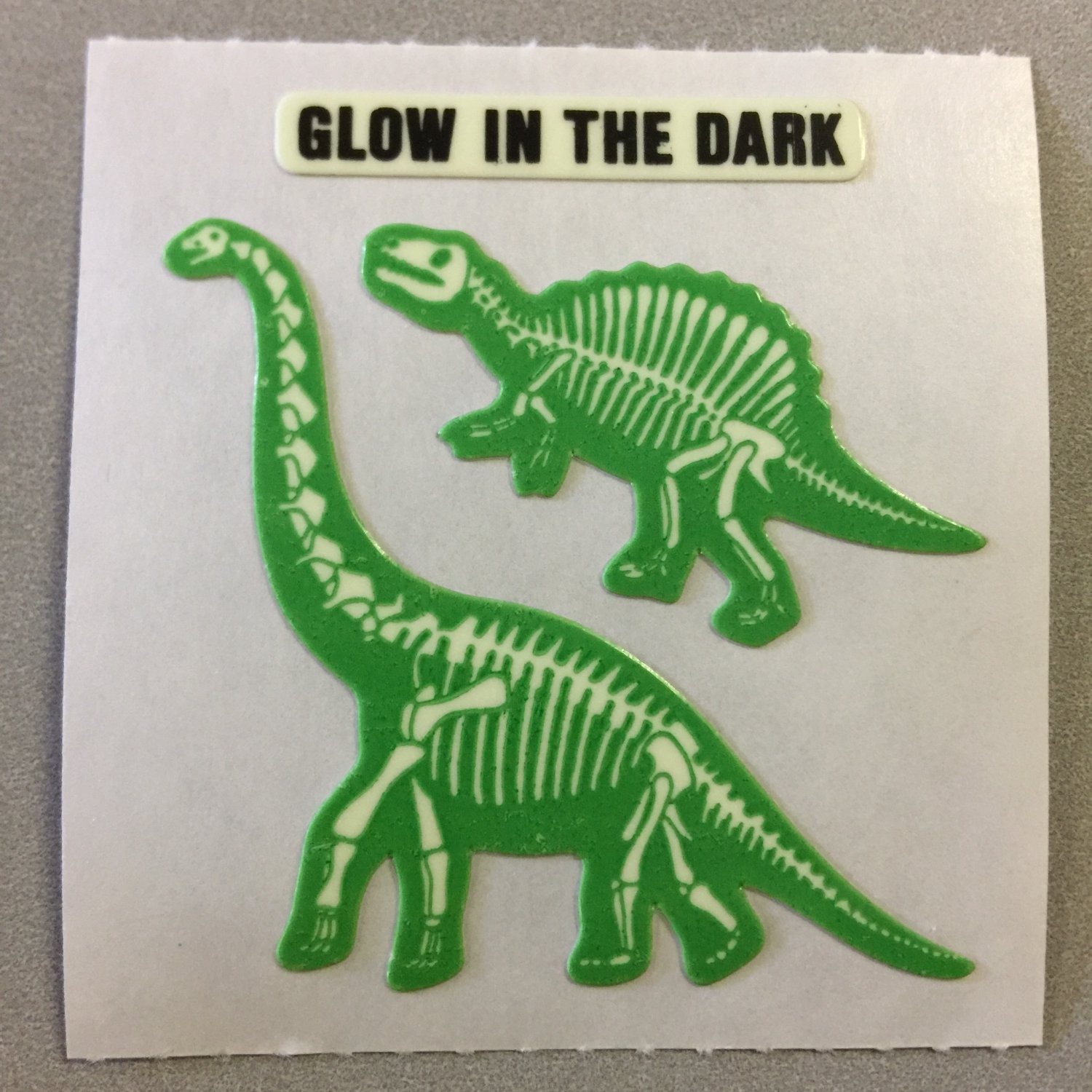 Sandylion Glow in the Dark DINOSAUR Stickers Retro Rare Vintage HG02