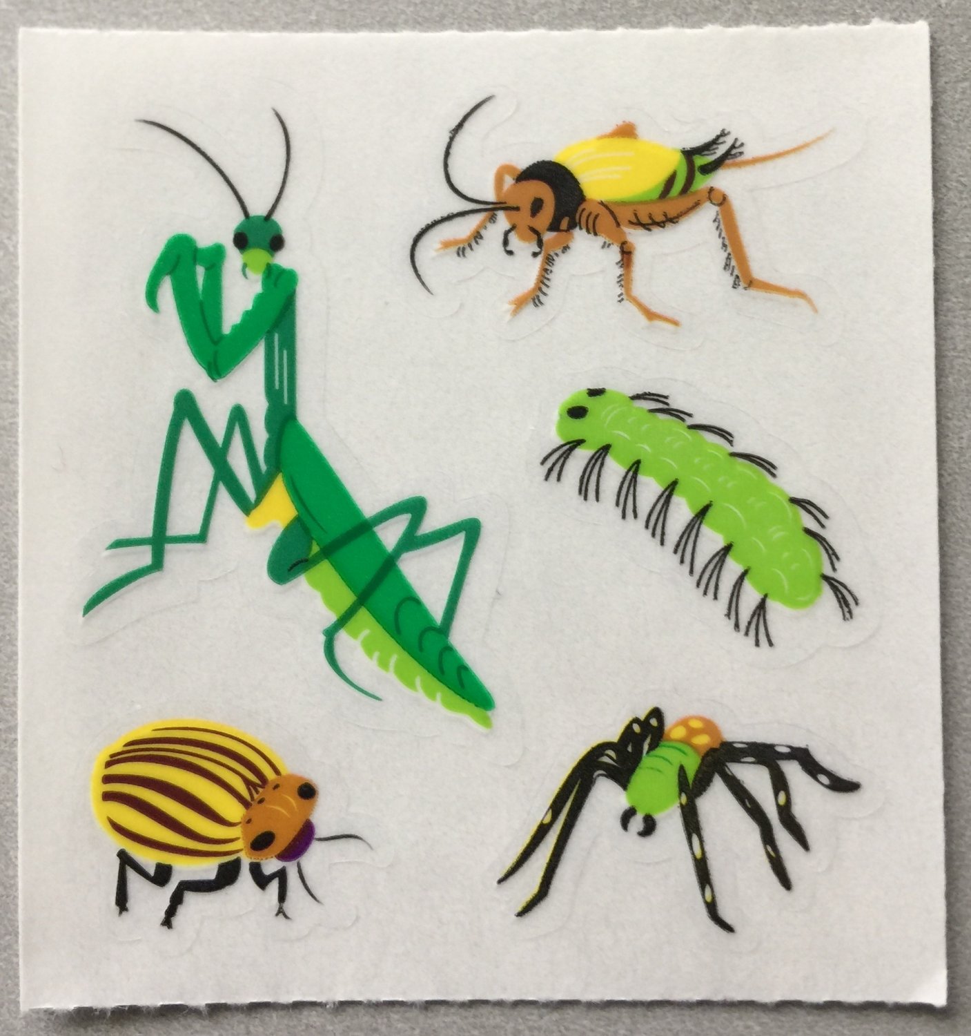 Sandylion Insects Praying Mantis Caterpillar Spider Stickers Rare Vintage MY336