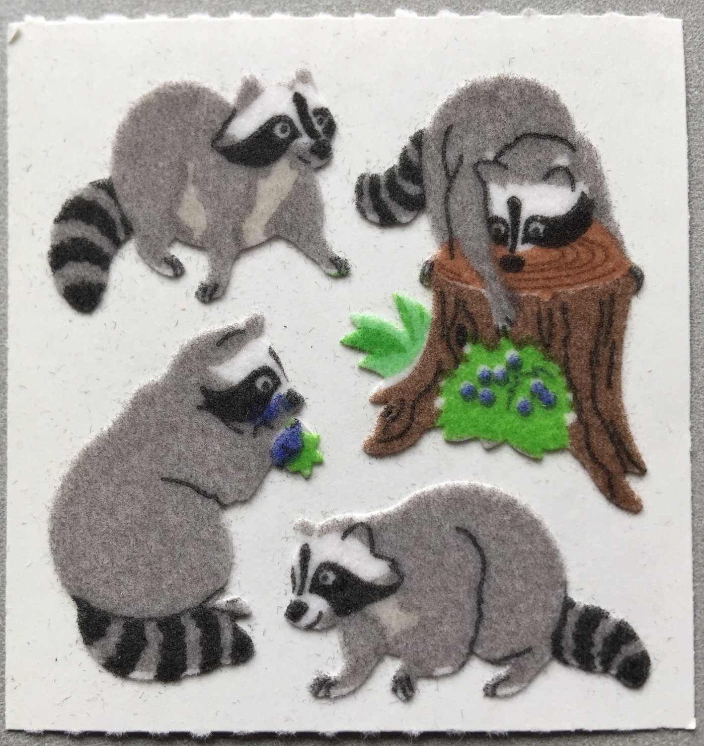 Sandylion Fuzzy Stickers RACCOON Retro Rare Vintage Retired Scrapbook FM379