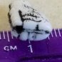 1920s-30s Czech Glass Cat beads 16mm pair