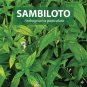 5 Packs Bulk Sambiloto Herbal Capsules 500 Count ( 5 x 100 Caps) Pure Andrographis Paniculata