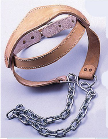 Imported Leather Padded Head Harness w/Heavy Duty Chain & Hook