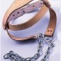 Imported Leather Padded Head Harness w/Heavy Duty Chain & Hook