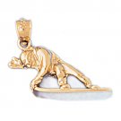 14K GOLD SPORT CHARM - SNOWBOARDING #3559